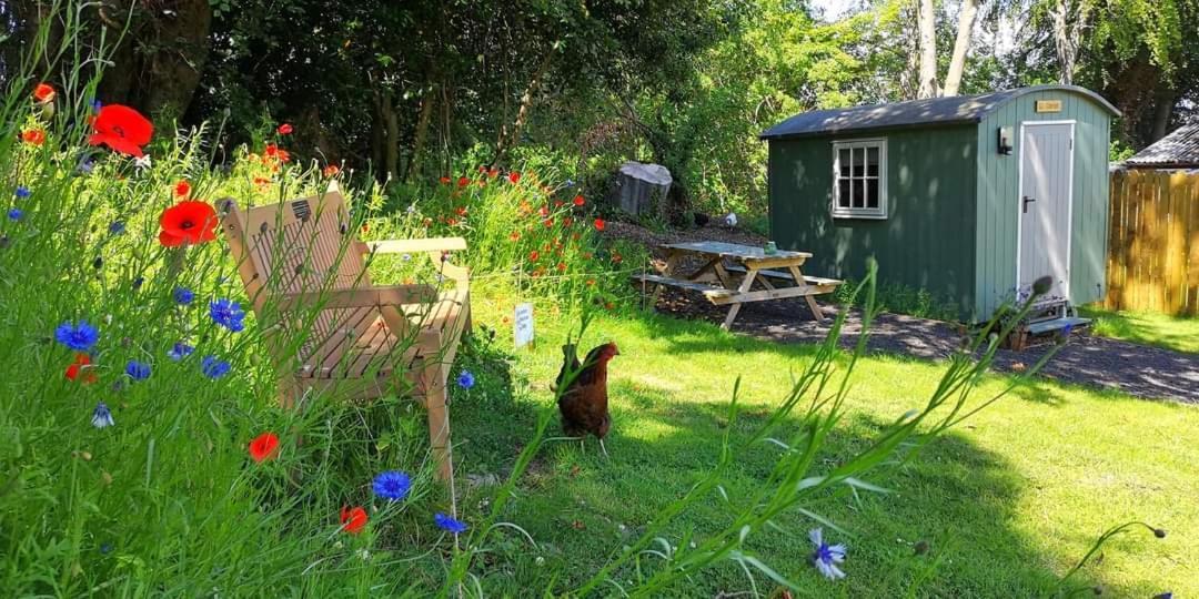 Wooler Hostel And Shepherds Huts Kültér fotó